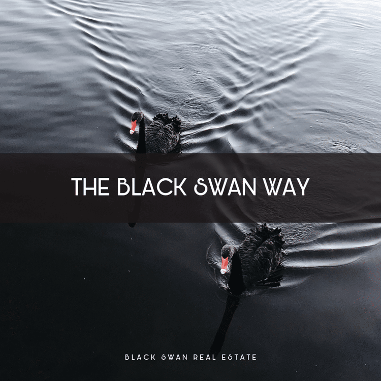 The Black Swan Way